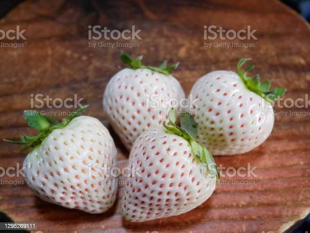 White jewel strawberry